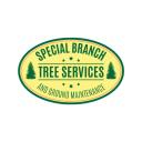 Special Branch Tree Services and Ground  logo
